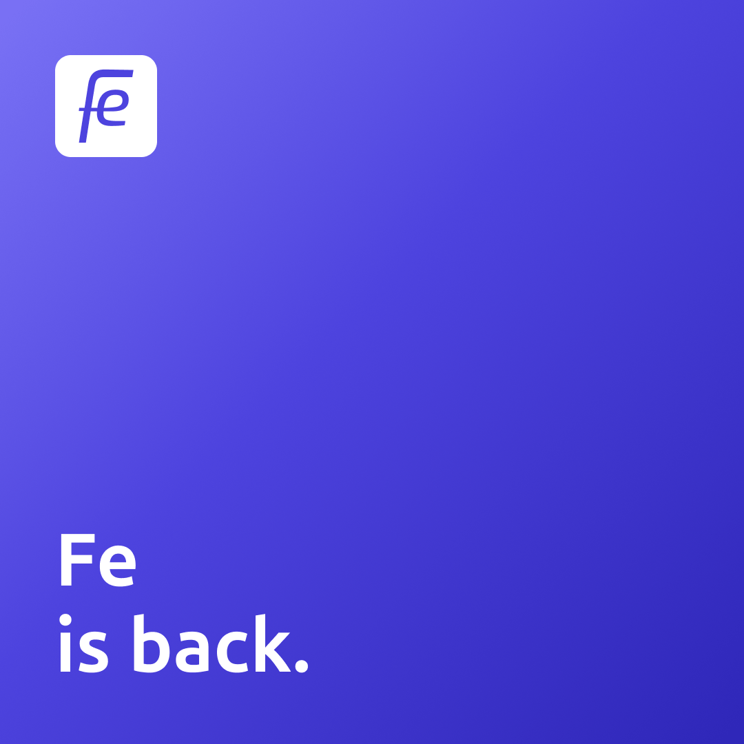 Fe Language tweet media