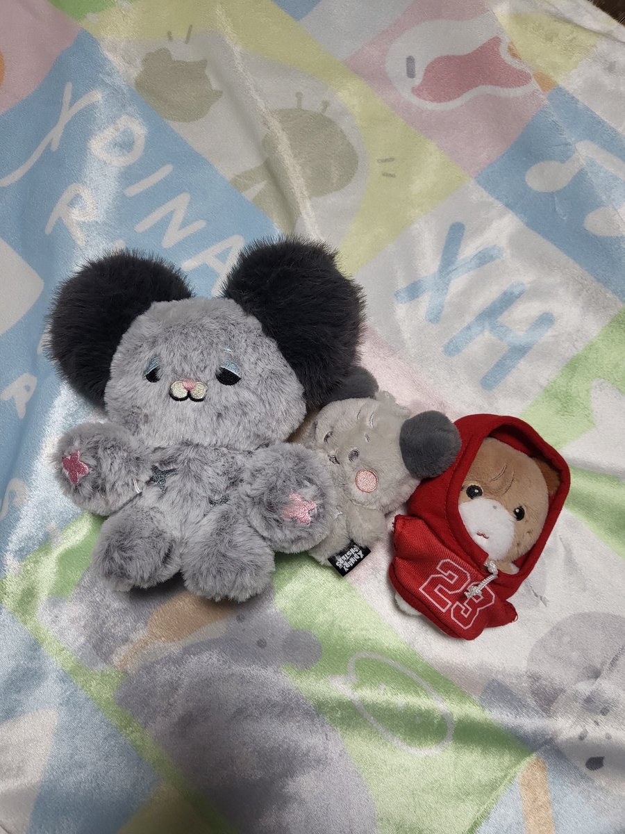 건건햄 tweet media