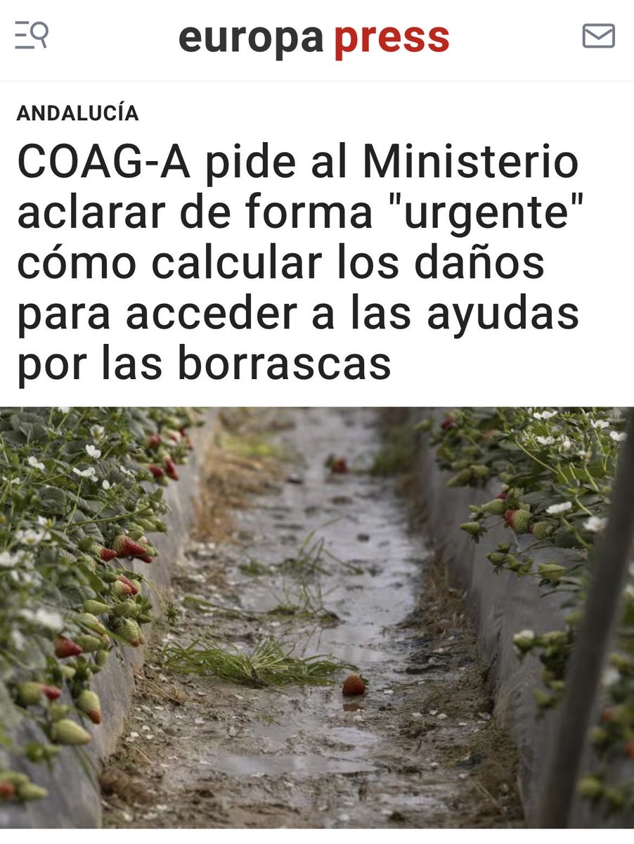 Juan Antonio Delgado tweet media