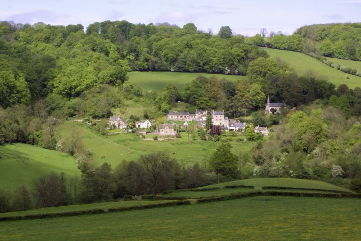 Carole Bruce tweet media