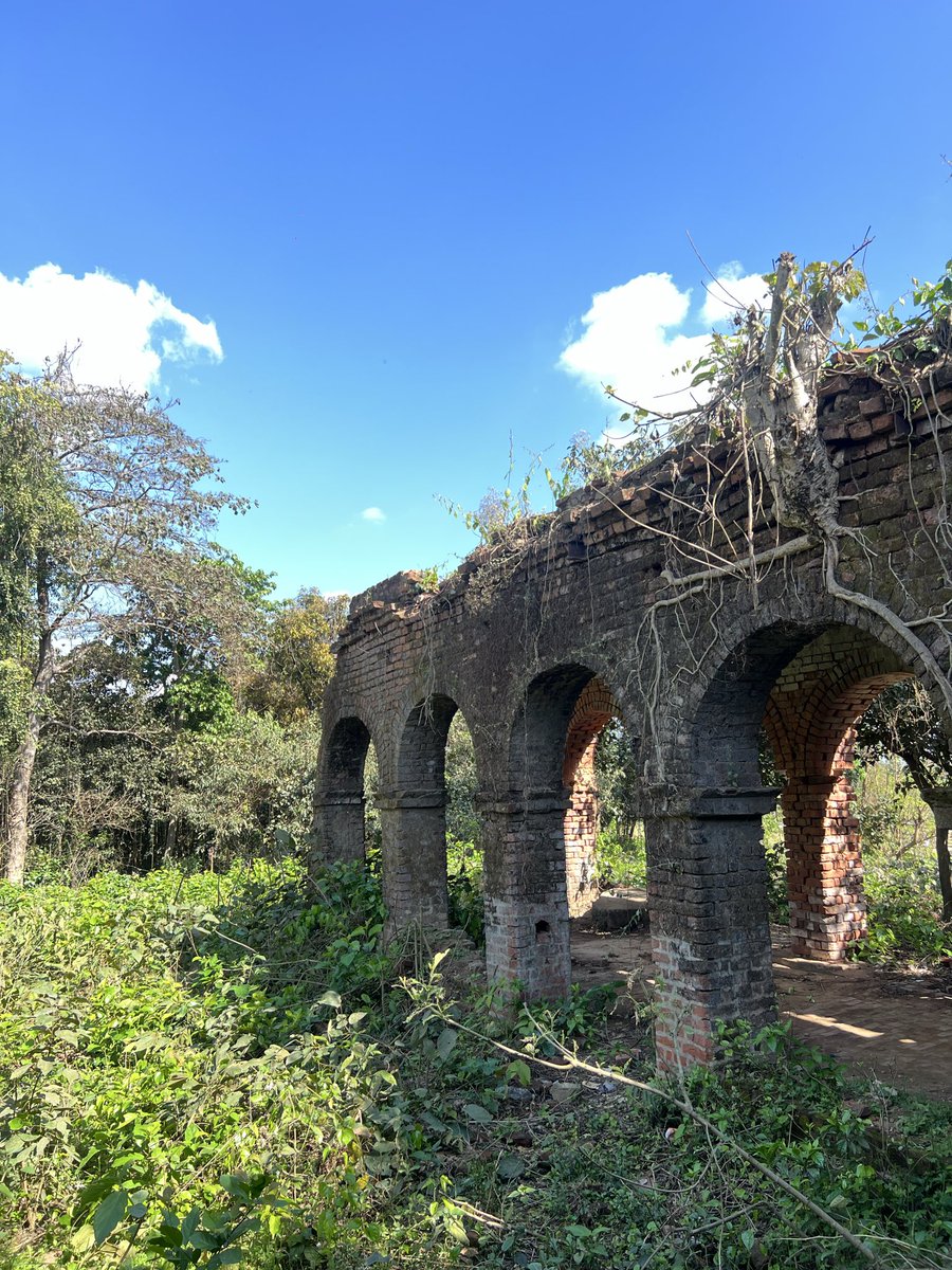 lexlimbu tweet media