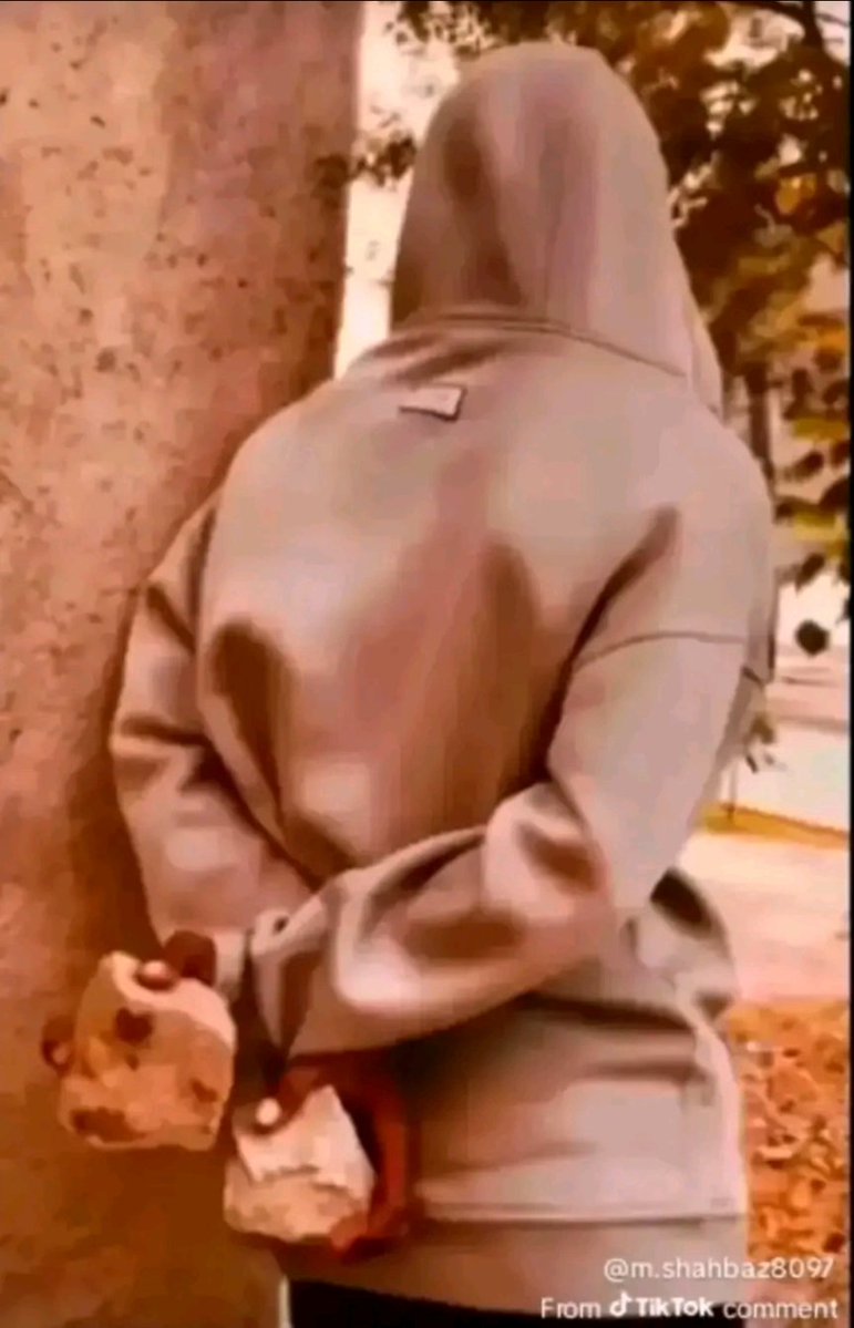 Six Plus Promoter tweet media