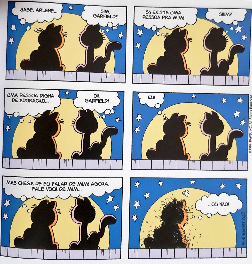 Fernanda Rocha tweet media