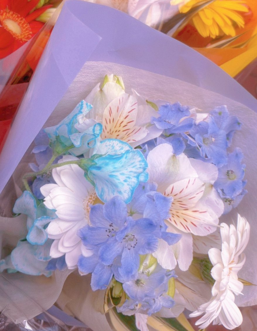 にぼし tweet media