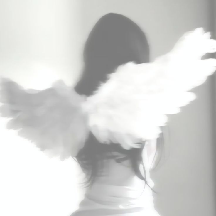 eveline honeymoon tweet media