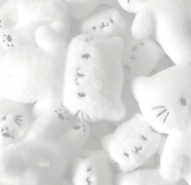 eveline honeymoon tweet media