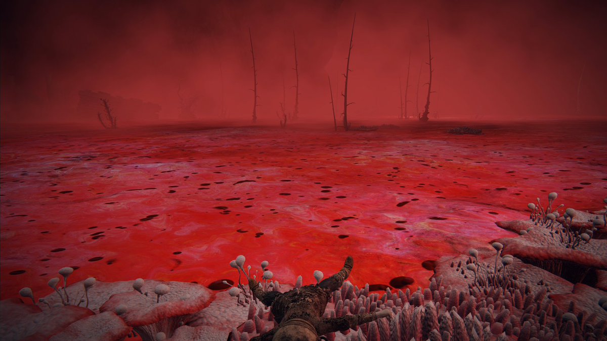 ドムスキー tweet media