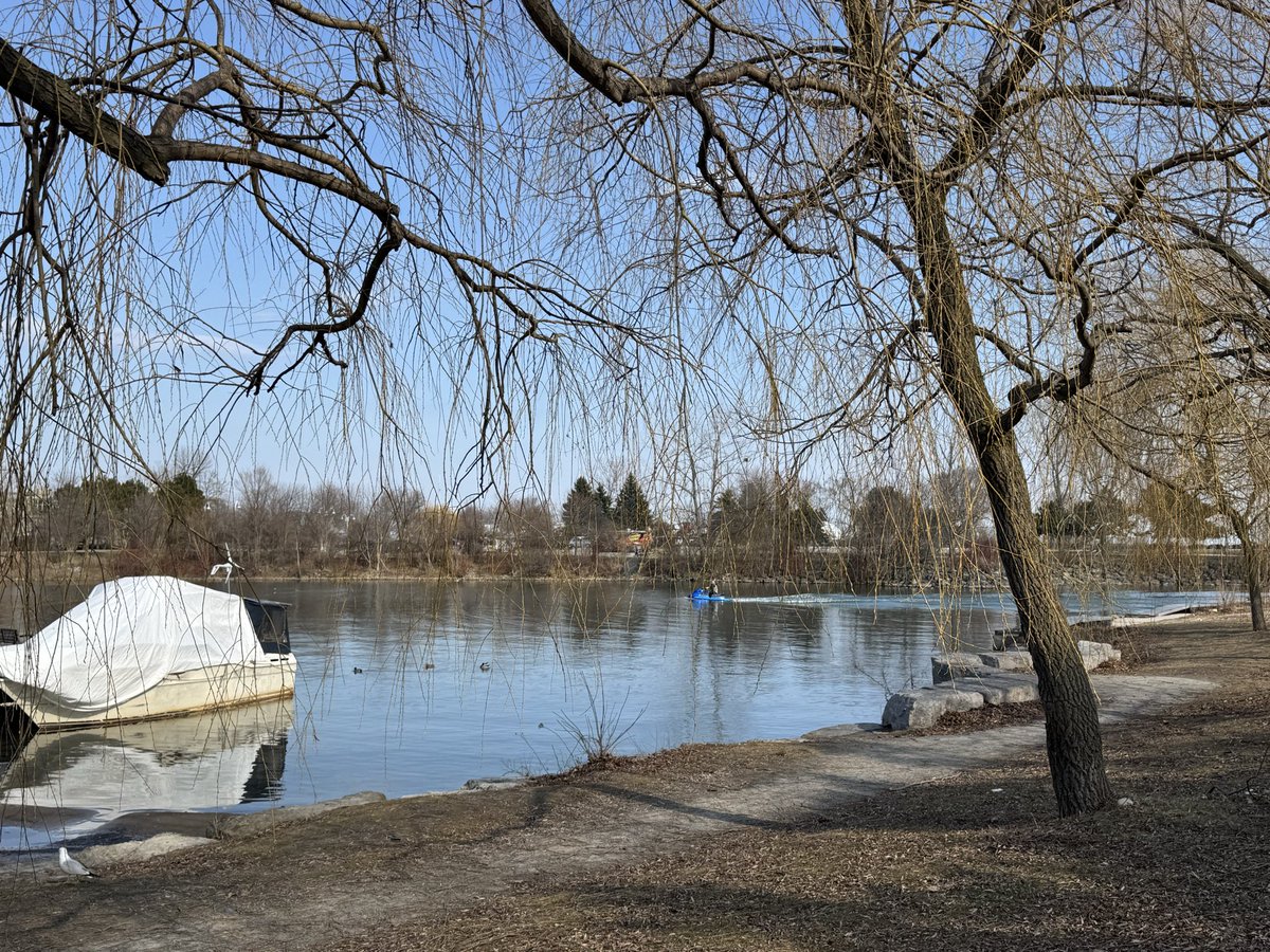 Kimberly Leaf Fan tweet media