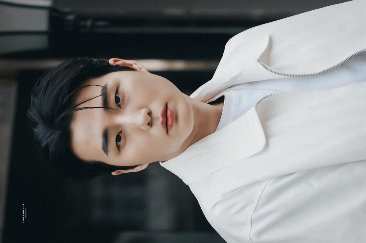 O P A C A R O P H I L E tweet media