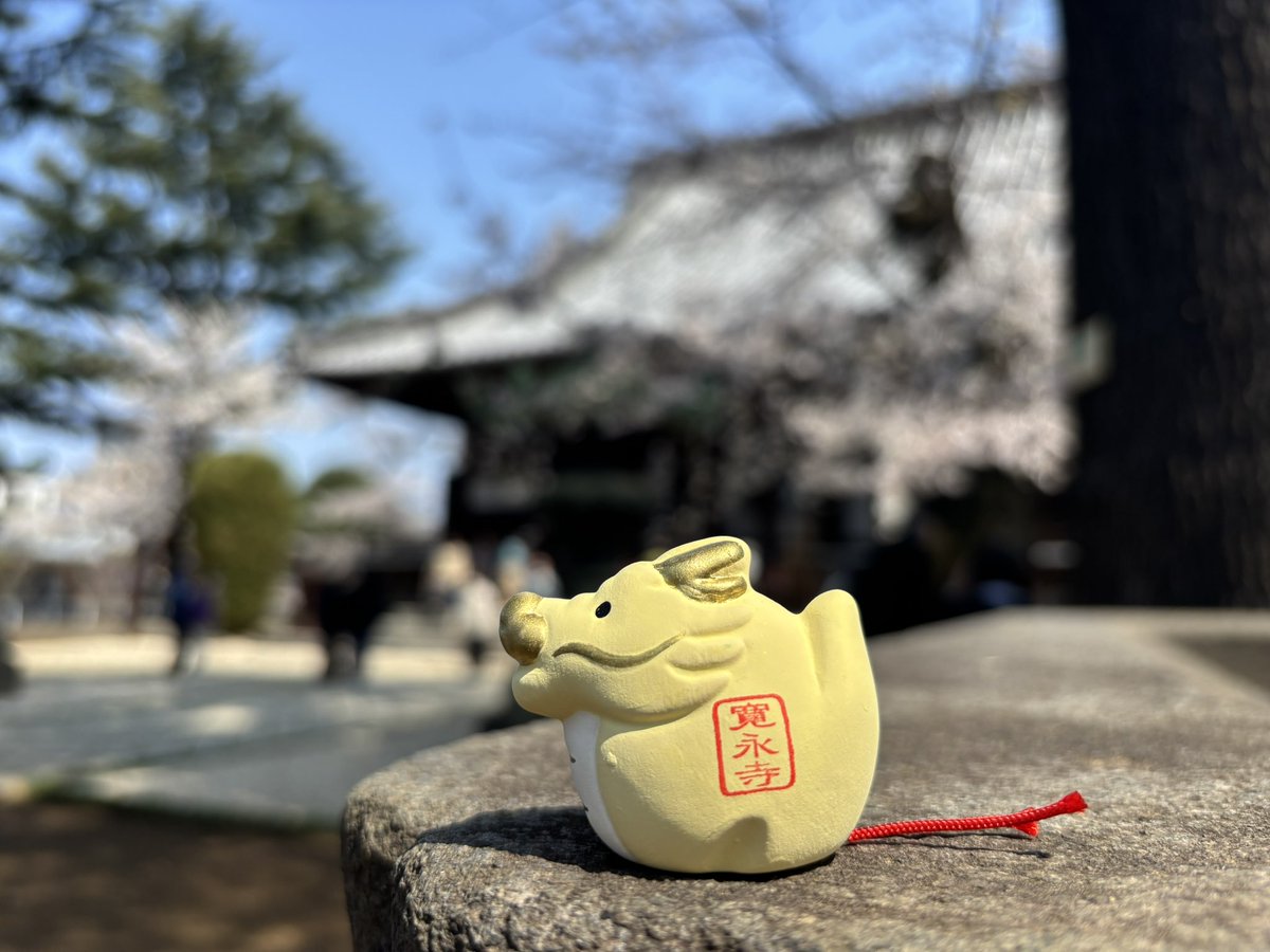 あずきなこ tweet media