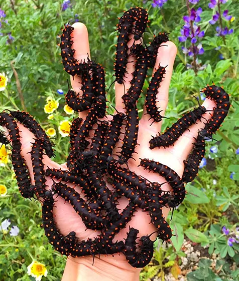 Give A Shit About Nature tweet media