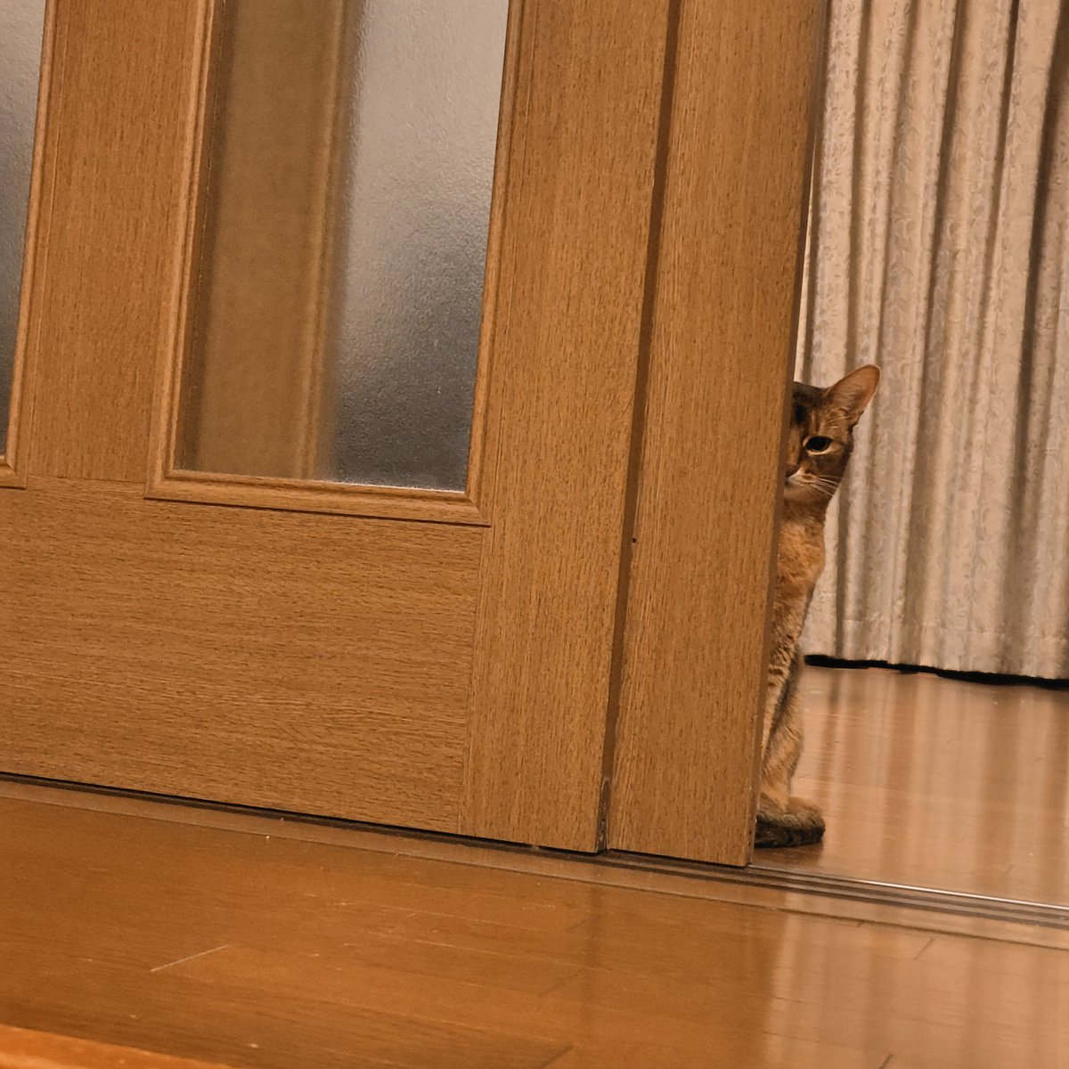 青八木 tweet media