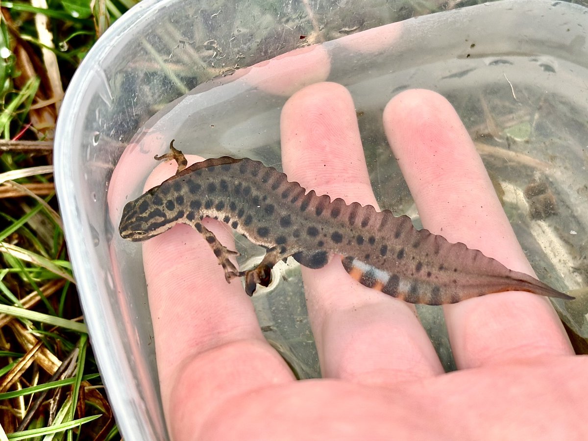 Dr Juliet Turner tweet media