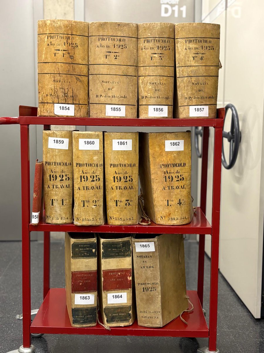 ahlleida tweet media