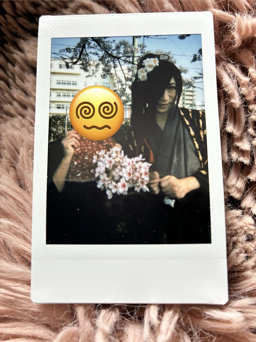 🐾masakiはもちいぬのかいぬし🐾 tweet media