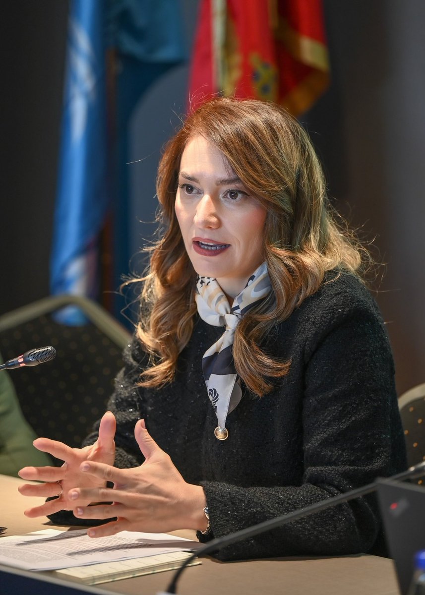 Ministarstvo finansija Crne Gore tweet media