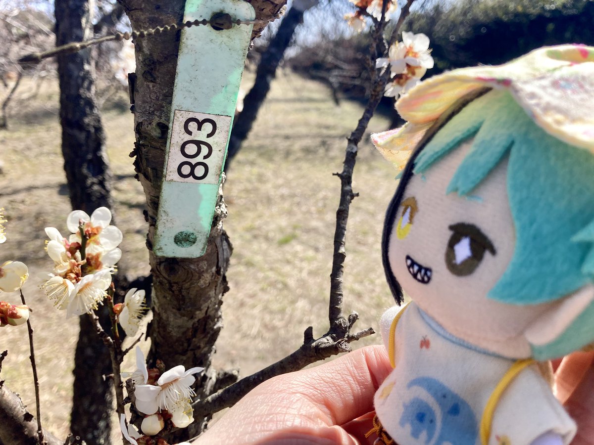 ゆーのすけ tweet media