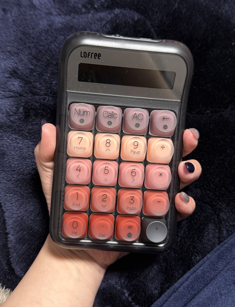 碧海うみうし@ウミウシVTuber tweet media