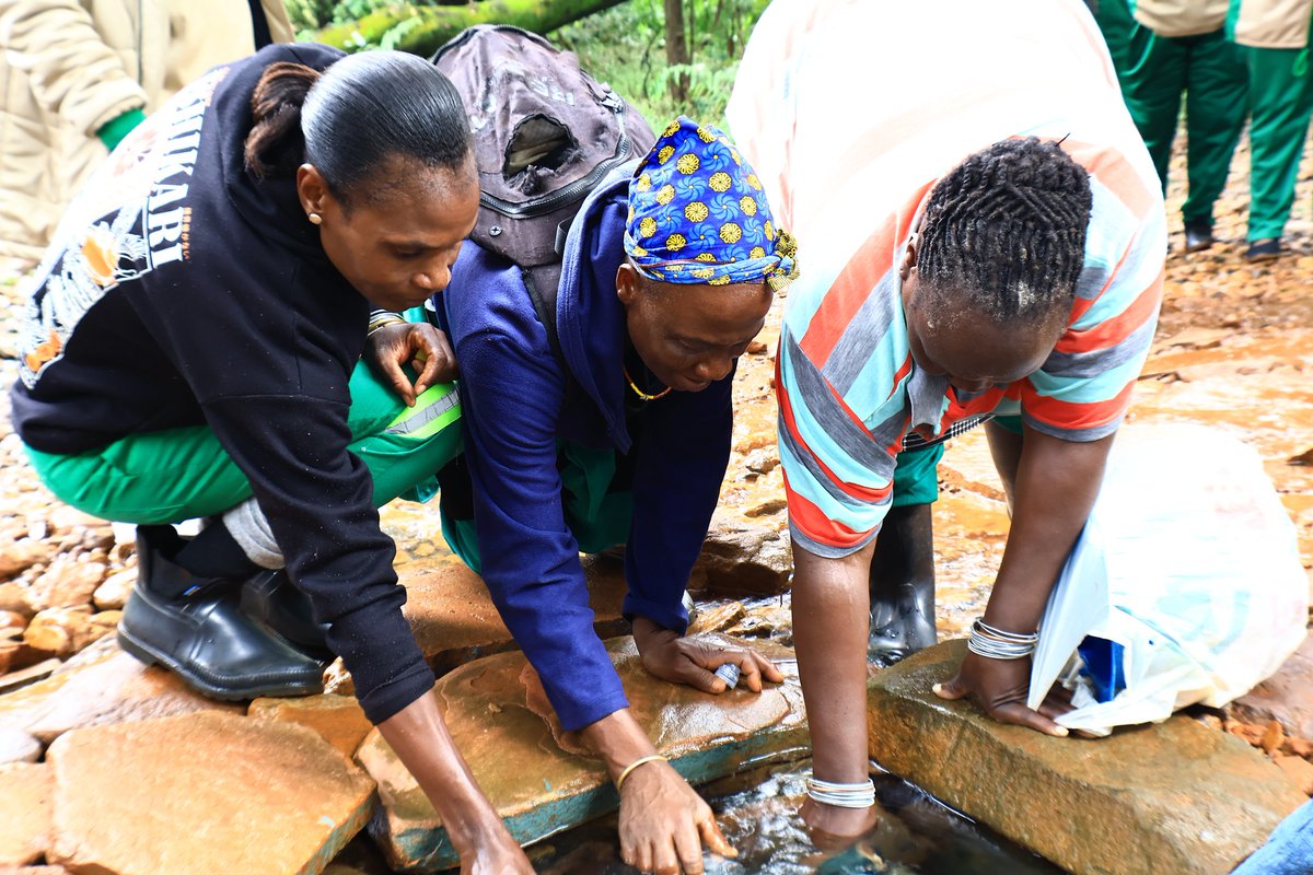 Lepelle Northern Water tweet media