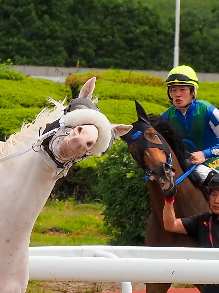 ナアユ ⋆꙳ tweet media