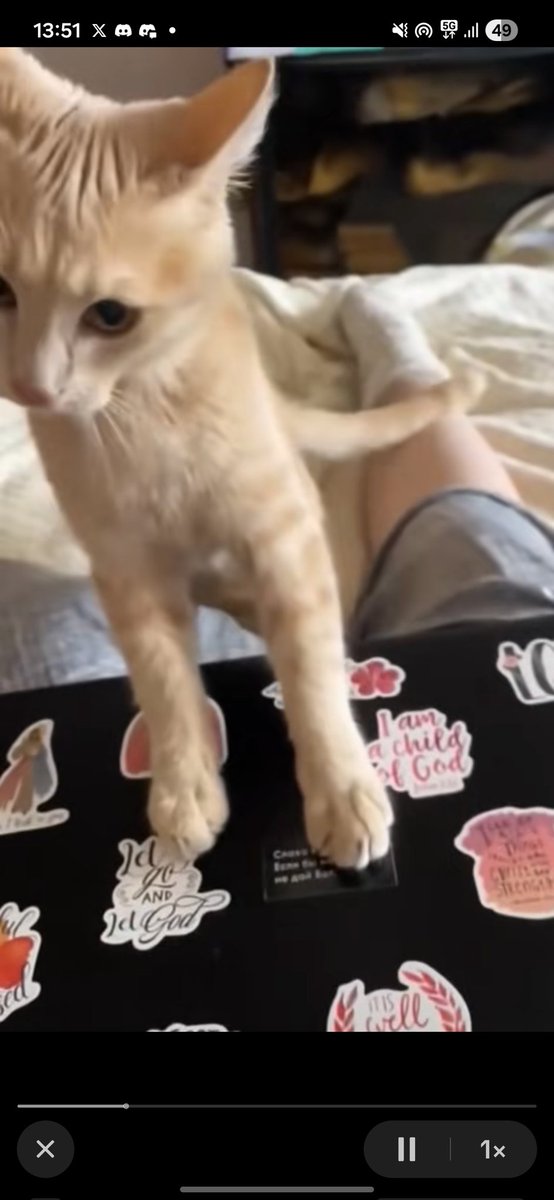 Patka 🦋 Słodki Flirt Era tweet media