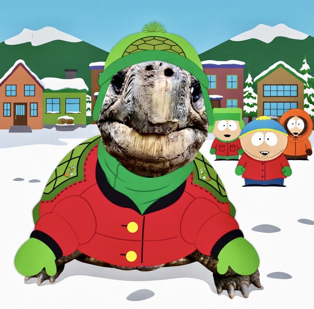 Jonathan The Tortoise (Worlds Oldest Animal) tweet media