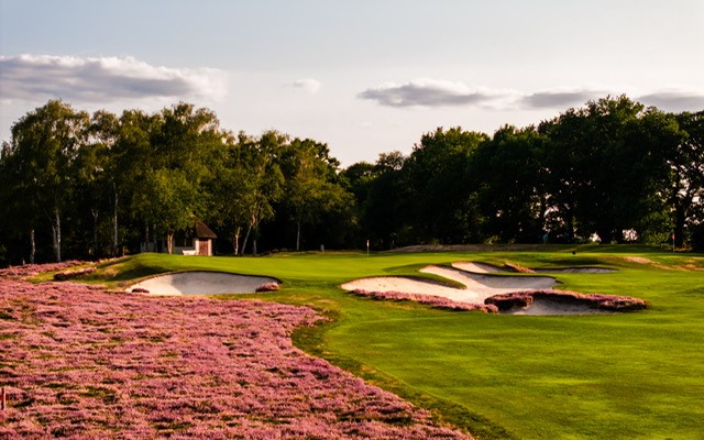 British & International Golf Greenkeepers Assn. tweet media