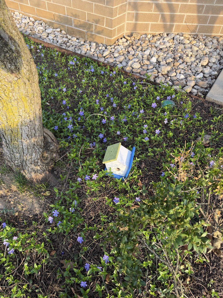 Dr. Loner,🚶‍♂️M.D.🩺 tweet media