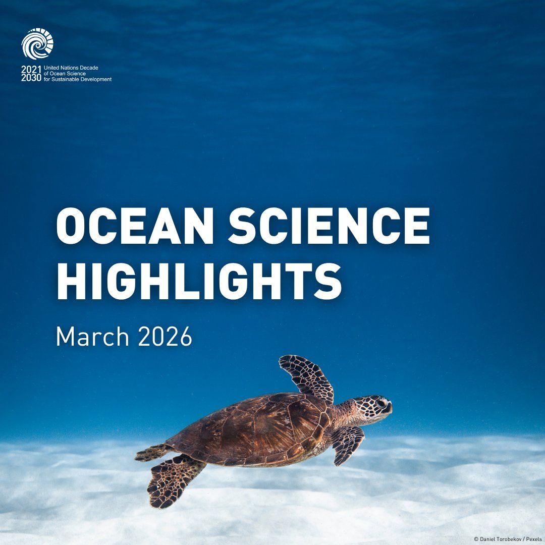 UNOceanDecade's tweet image. What’s new in #OceanScience?

🦐 A new, rare branch of evolution discovered in the Pacific deep sea
🌊 Landmark moment in Chile as new marine parks are given full protection
🐋 Cross-kin birthing cooperation observed in sperm whales

Read on: ow.ly/oCF950YB97O