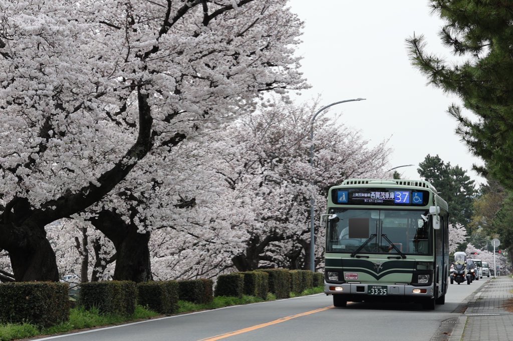 イソミ tweet media