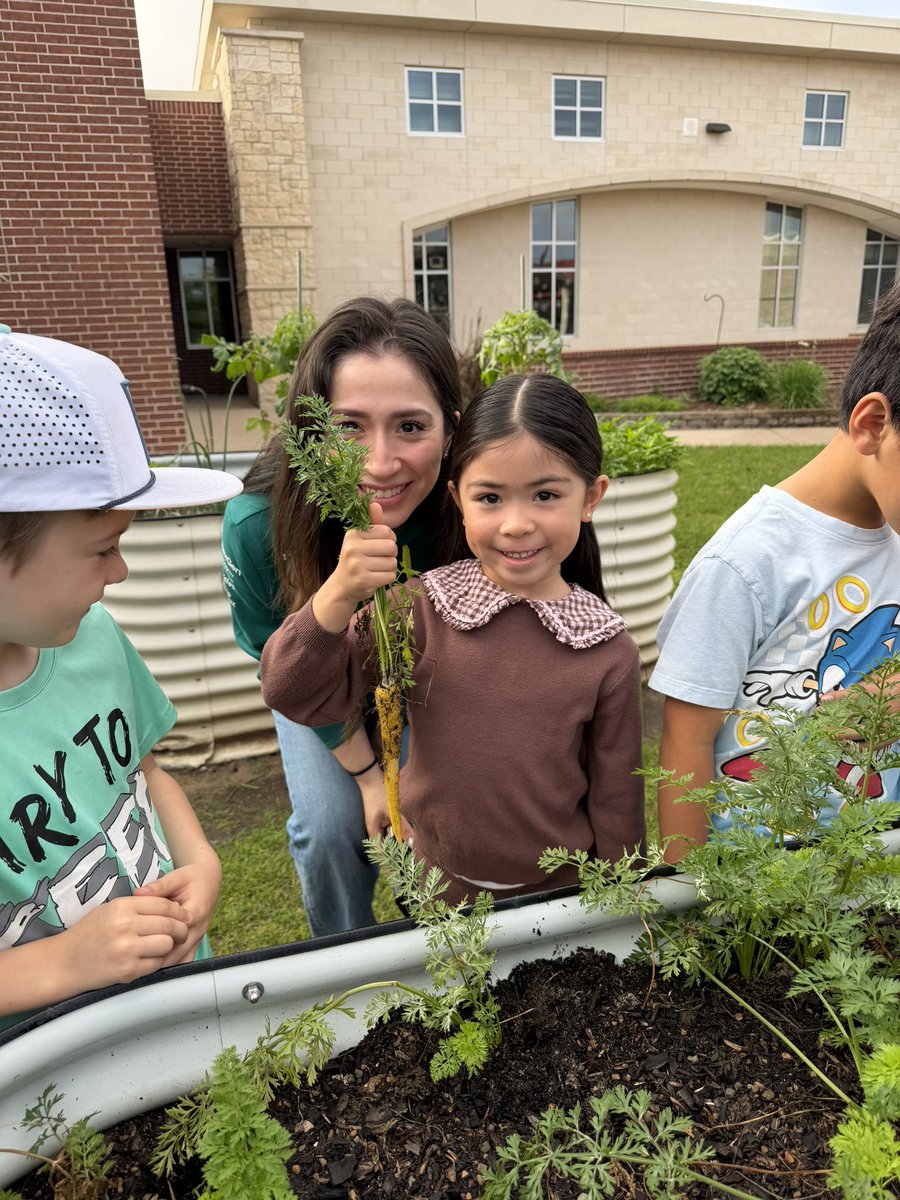 Celise Hamann tweet media