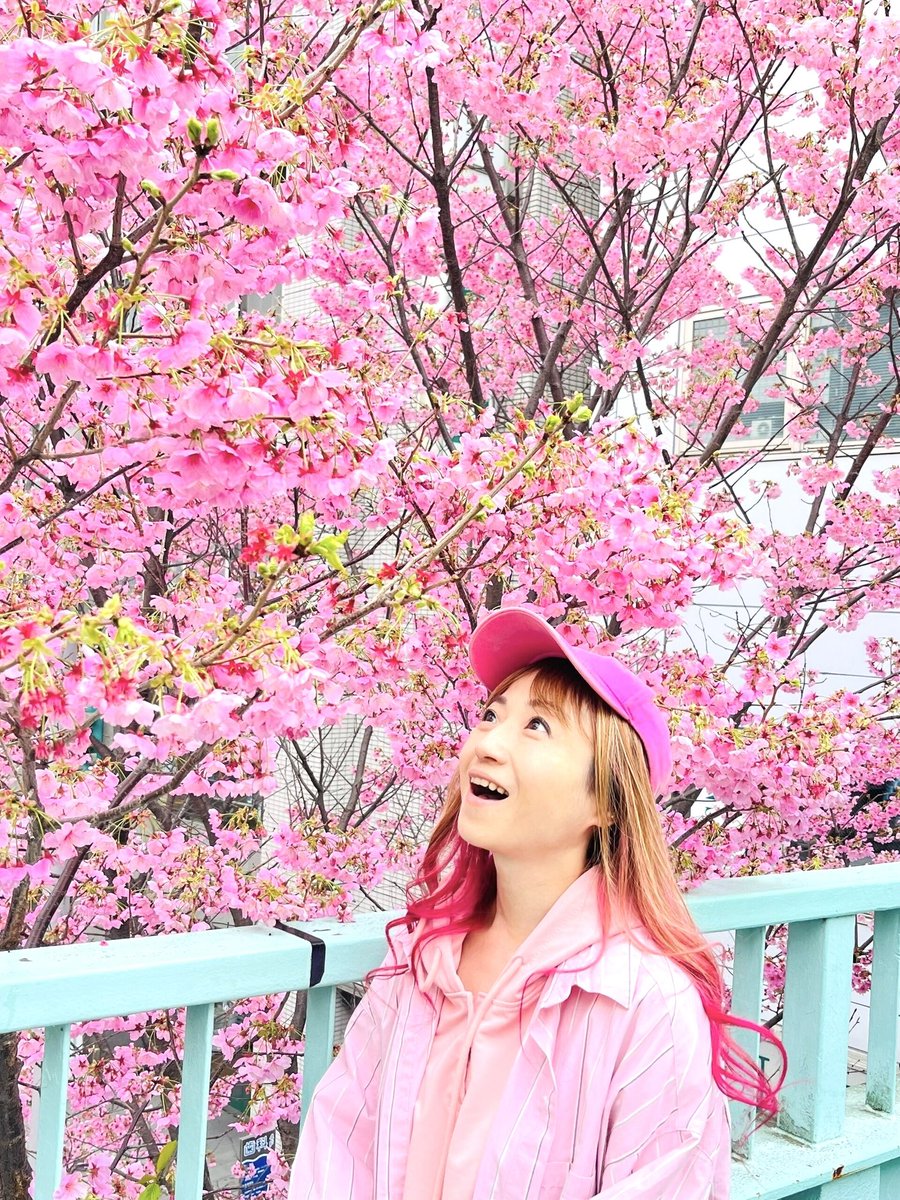 飯塚雅弓 tweet media