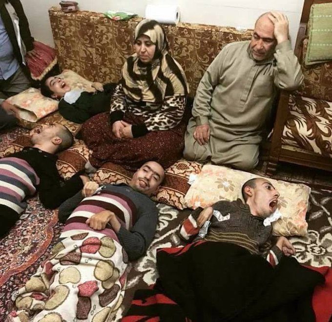 Don Promillo tweet media