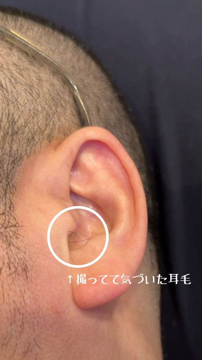 モー(モリでも👌) tweet media