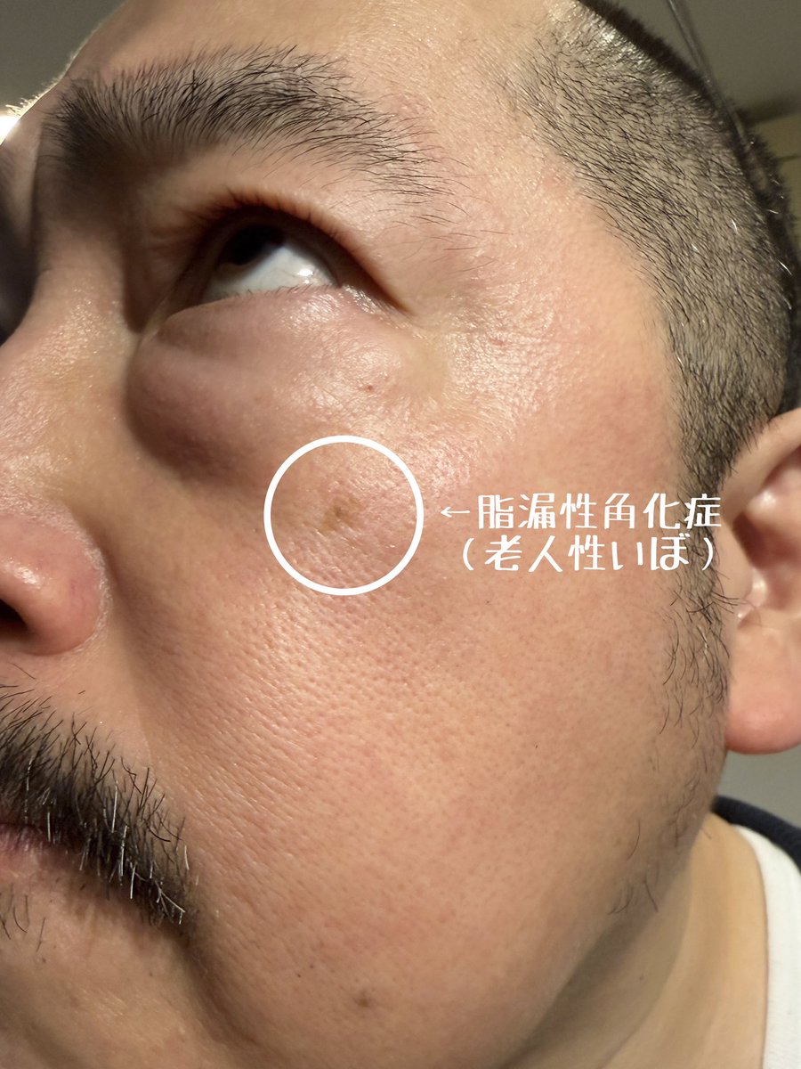 モー(モリでも👌) tweet media