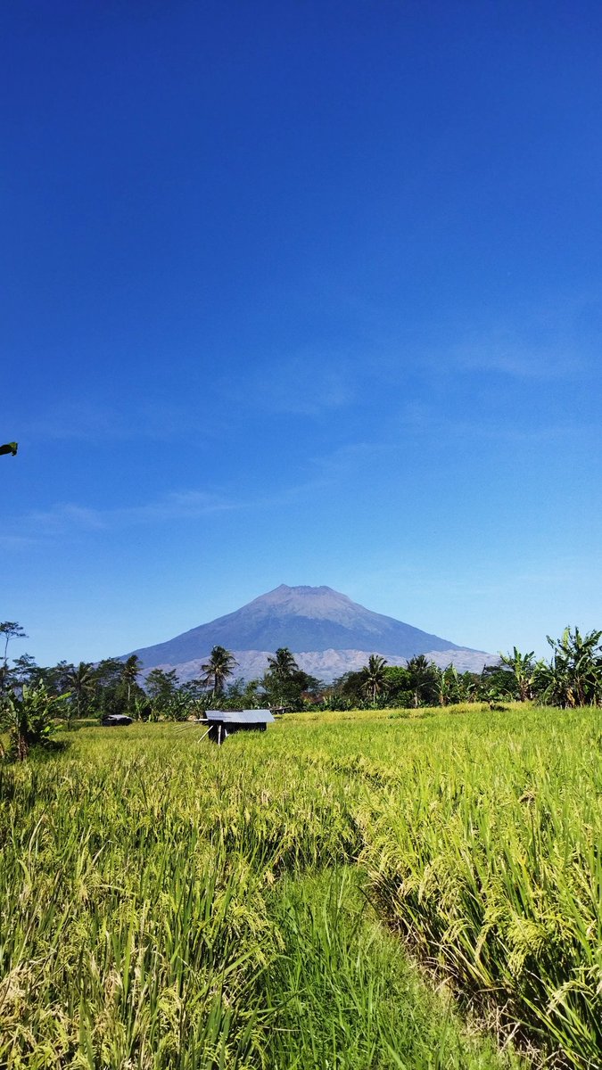 Iqbal Abizars tweet media