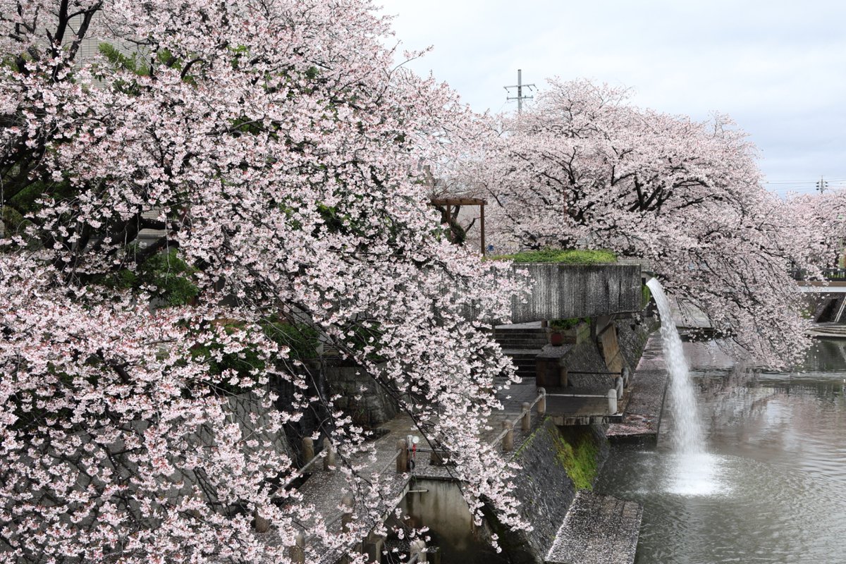 じゅん tweet media