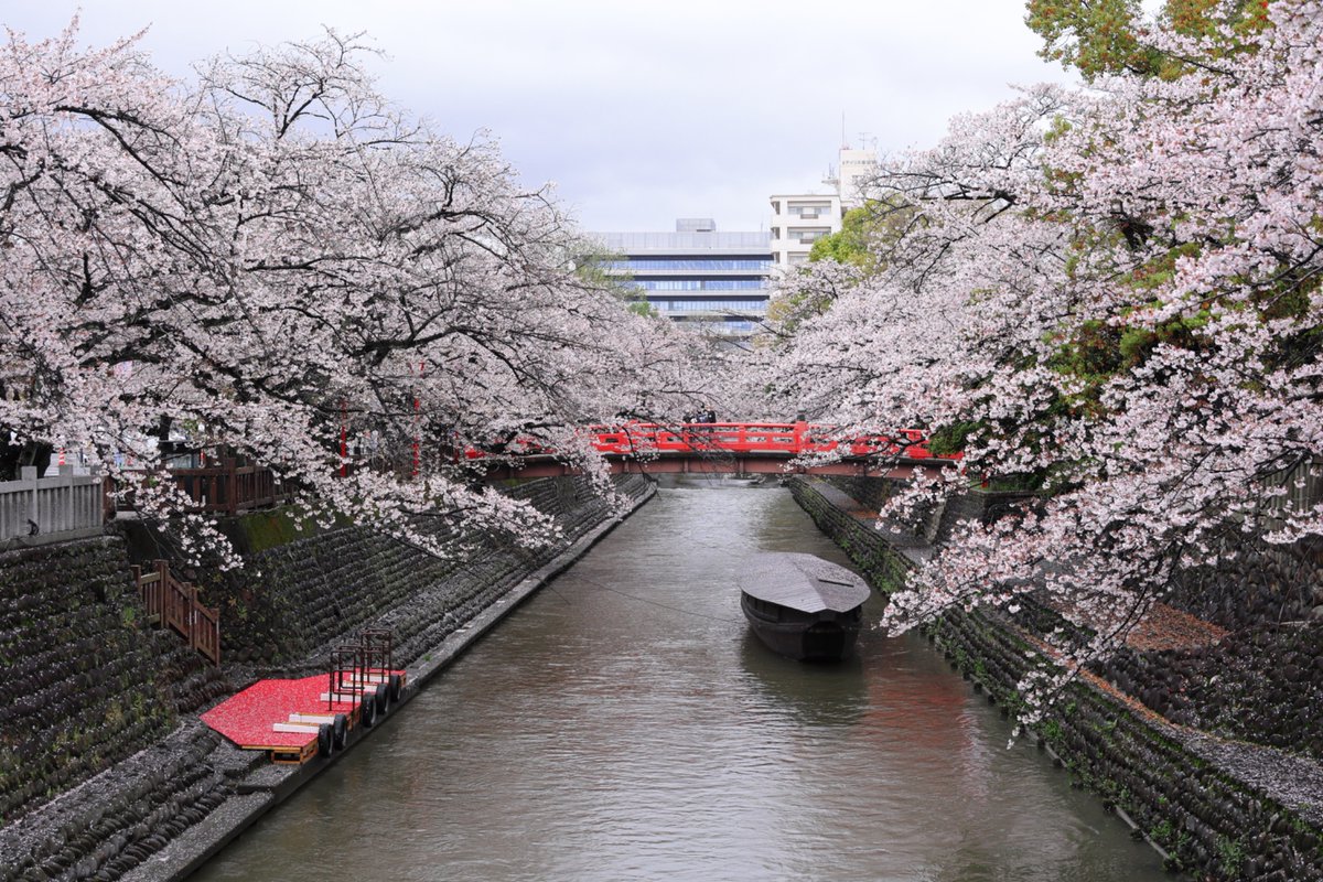 じゅん tweet media