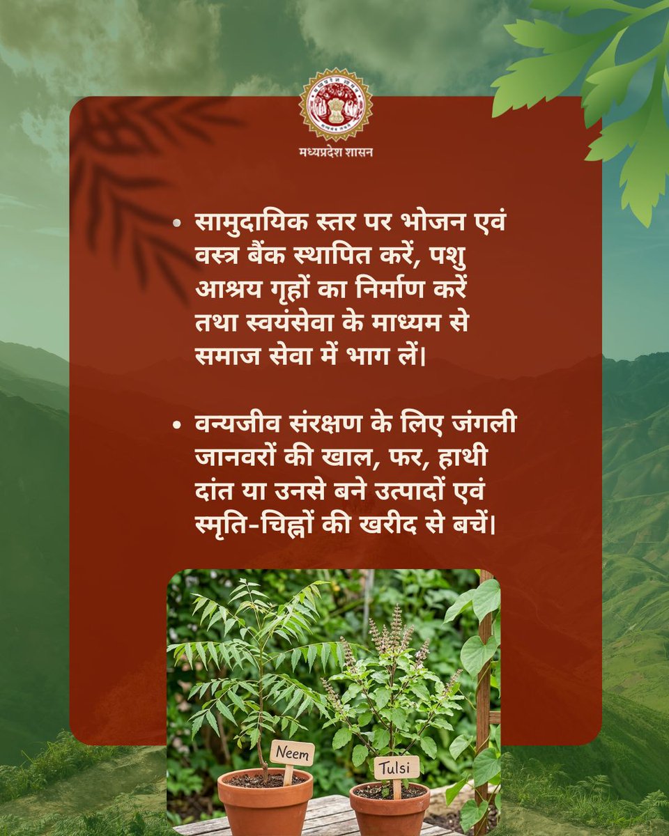environment_mp's tweet image. #MissionLiFE के साथ अपनाएं स्वस्थ जीवन शैली के उपाय🌿

➡️भोजन एवं कपड़ों के बैंक स्थापित करें 
➡️वन्यजीव संरक्षण हेतु पशु आधारित उत्पाद की खरीद से बचें 
➡️इको क्लब स्थापित कर पर्यावरण संरक्षण की गतिविधियाँ आयोजित करें 
➡️औषधीय पौधों का रोपण करें 

#ProPlanetPeople
#Sustainable