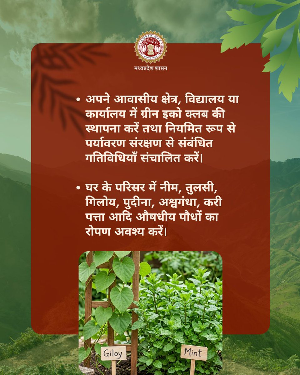 environment_mp's tweet image. #MissionLiFE के साथ अपनाएं स्वस्थ जीवन शैली के उपाय🌿

➡️भोजन एवं कपड़ों के बैंक स्थापित करें 
➡️वन्यजीव संरक्षण हेतु पशु आधारित उत्पाद की खरीद से बचें 
➡️इको क्लब स्थापित कर पर्यावरण संरक्षण की गतिविधियाँ आयोजित करें 
➡️औषधीय पौधों का रोपण करें 

#ProPlanetPeople
#Sustainable