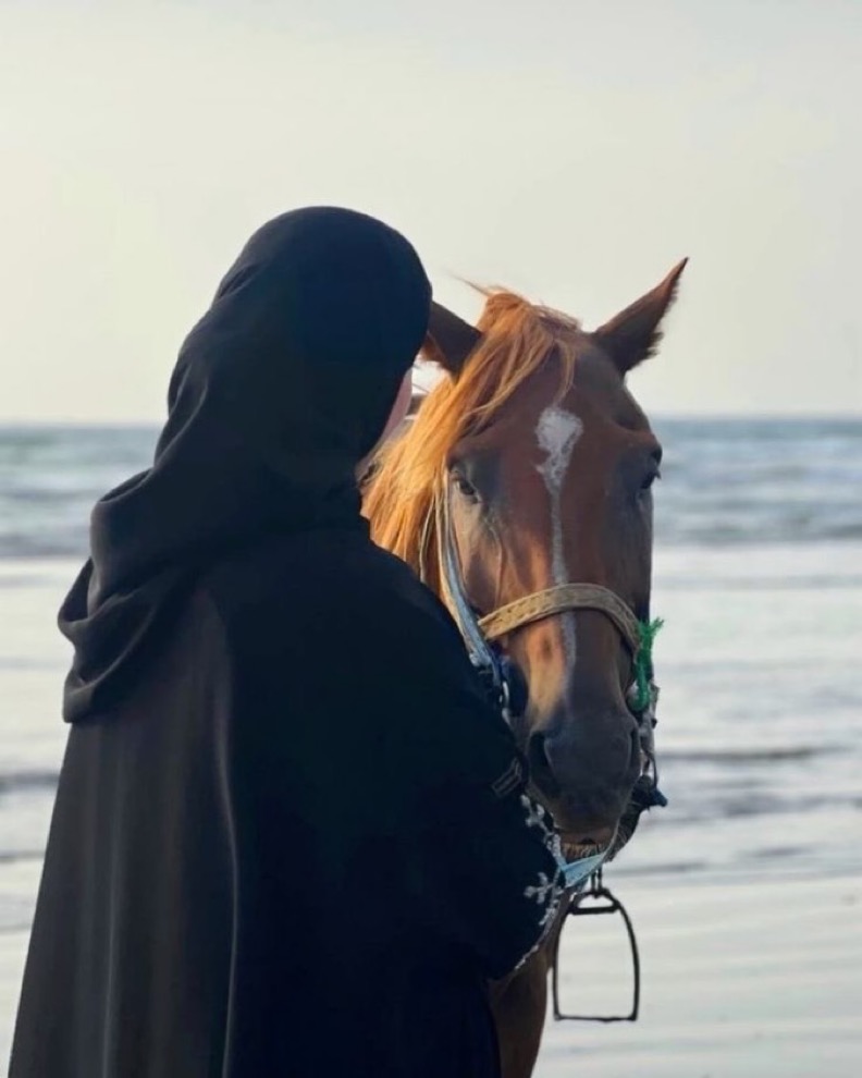 🌹أحـــــــلام 🌹 tweet media