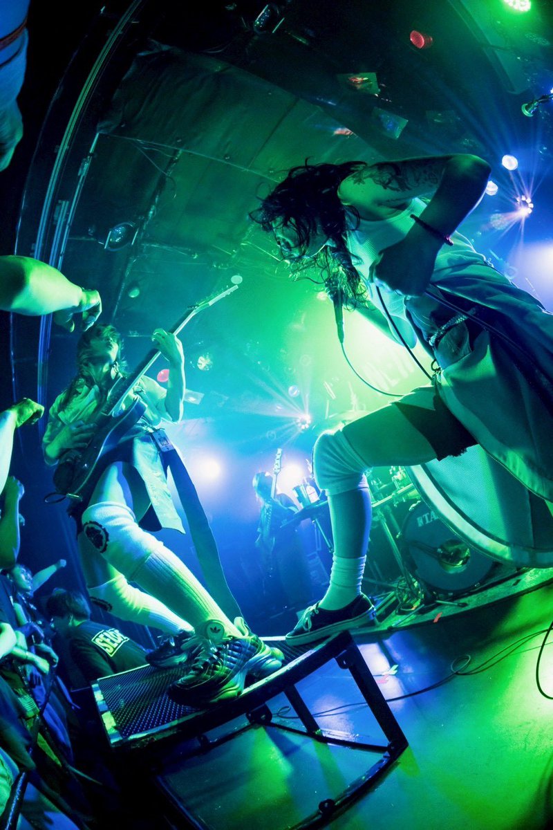 NEMOPHILA tweet media