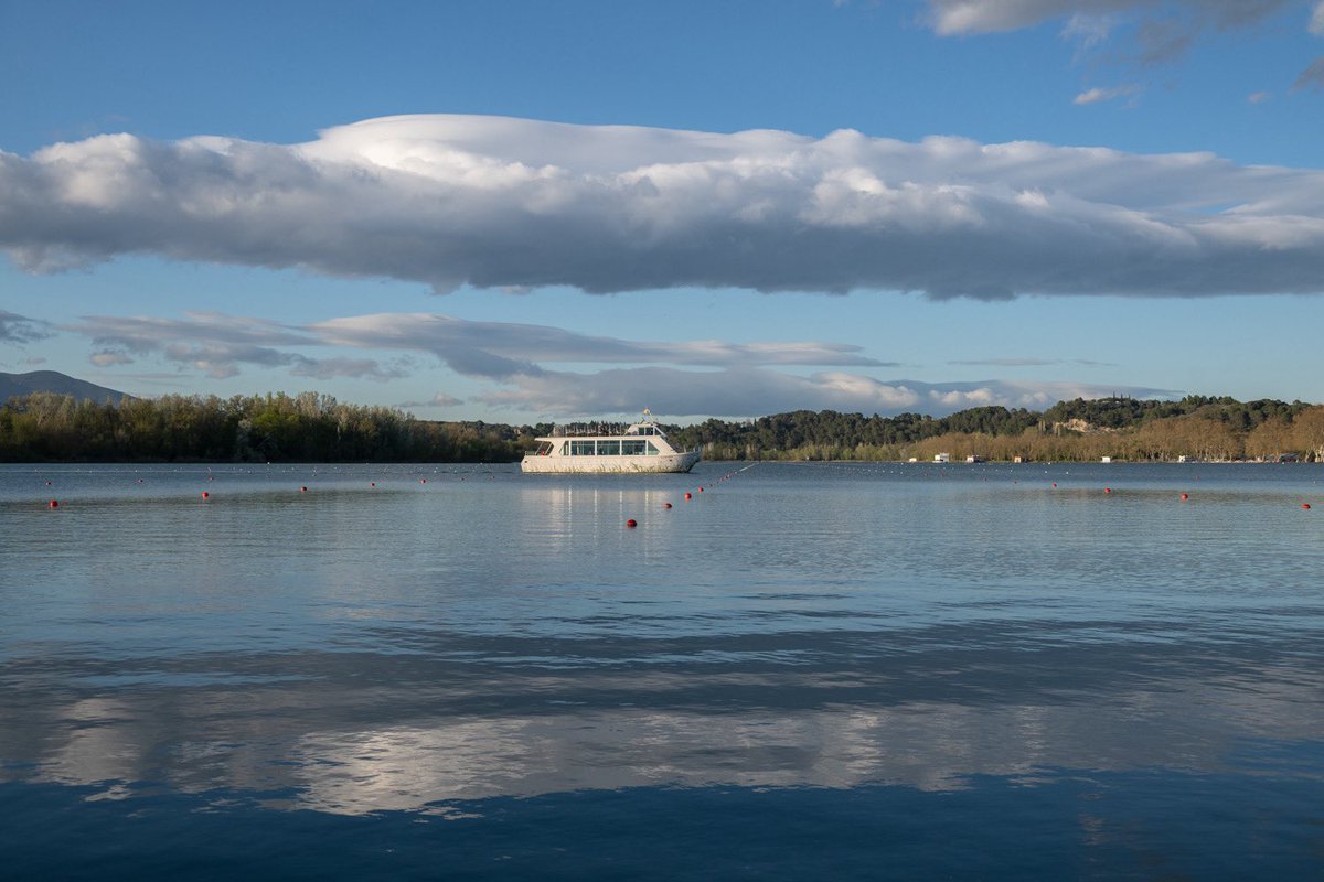 Silvia Puig Planells tweet media