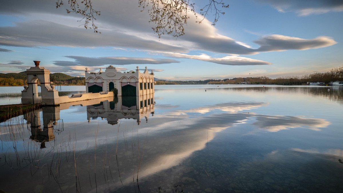 Silvia Puig Planells tweet media