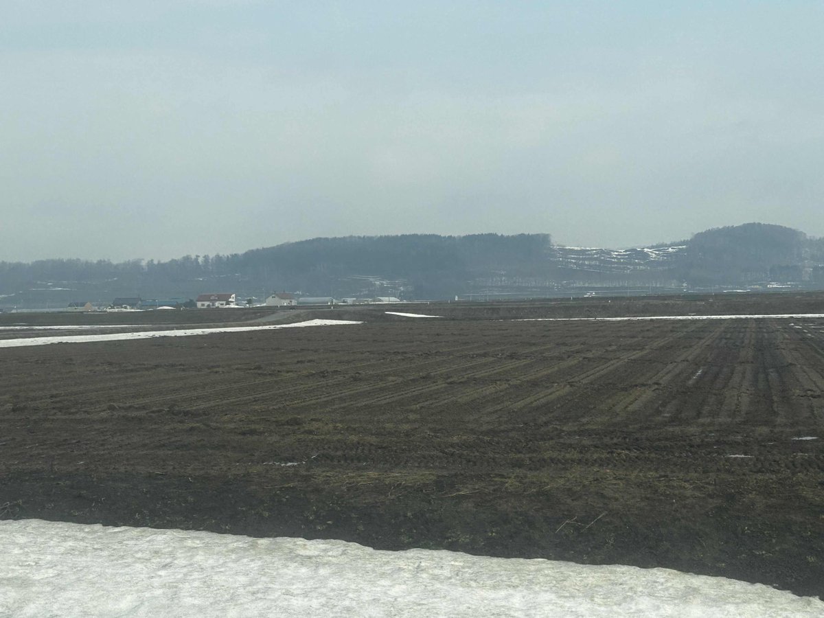 ８２EXPRESS （いそがっし） tweet media