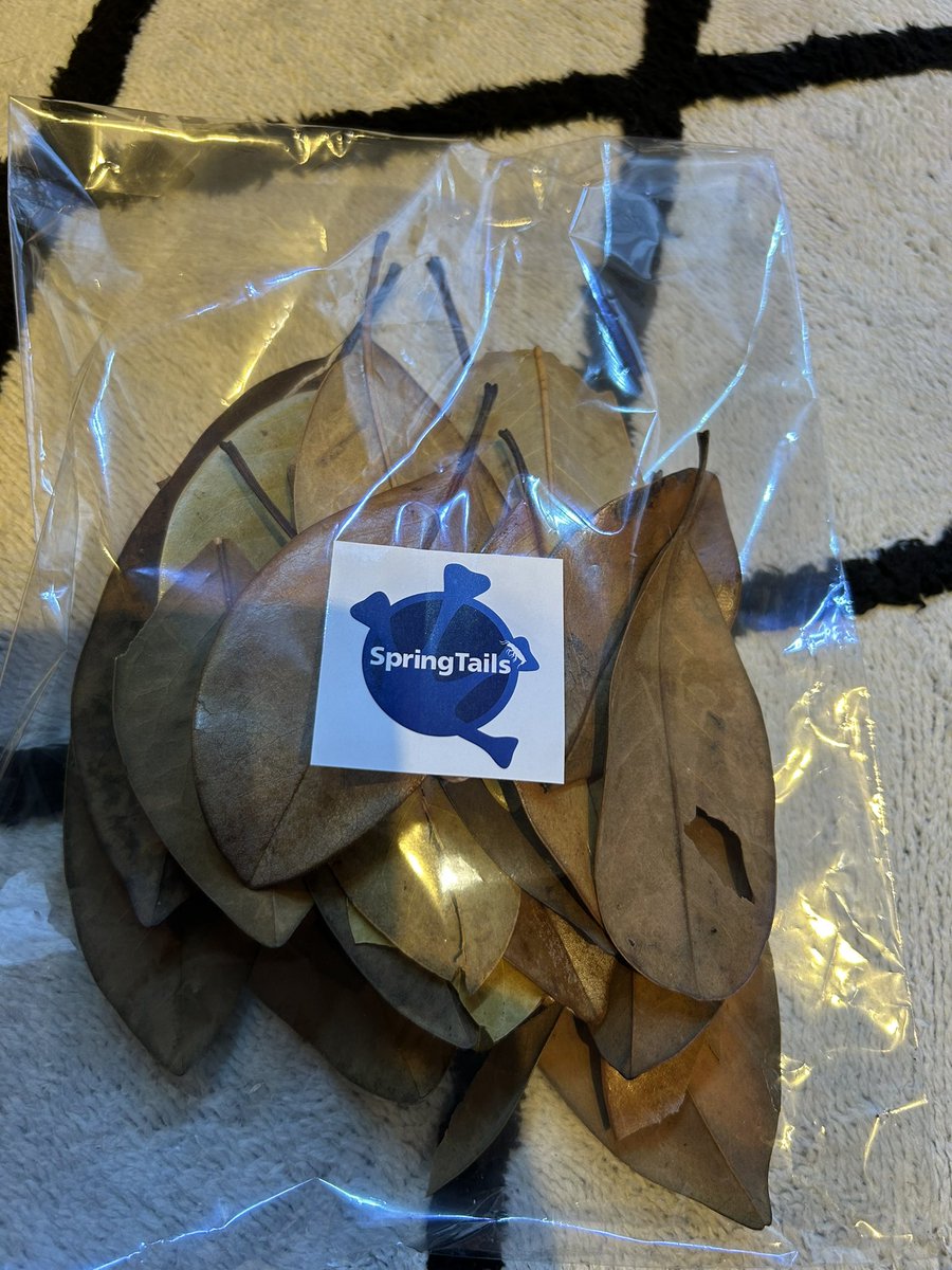 subenodo tweet media