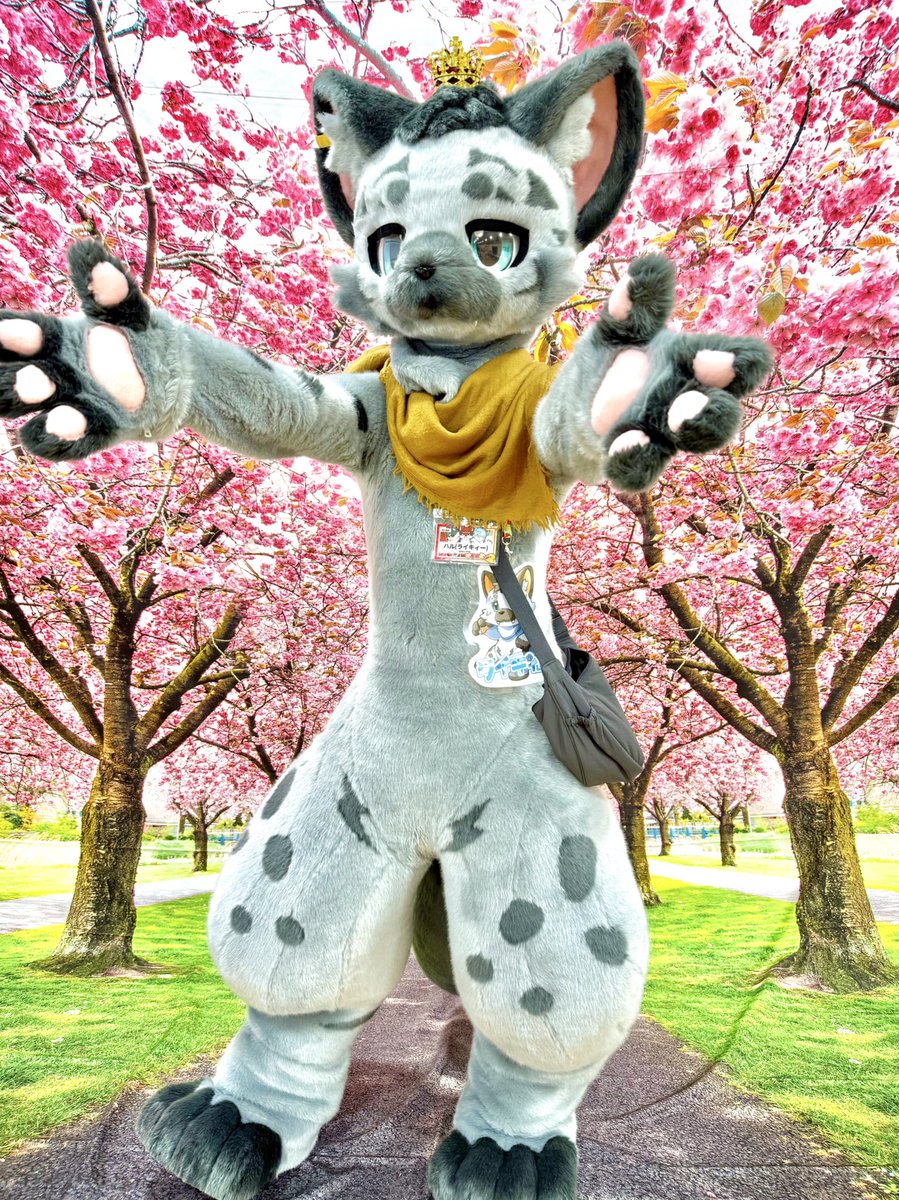 みしぇた／セウメ tweet media