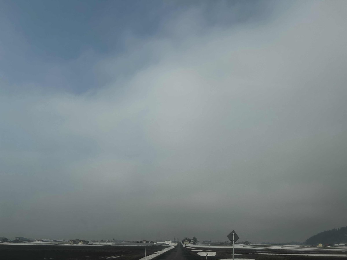 ８２EXPRESS （いそがっし） tweet media