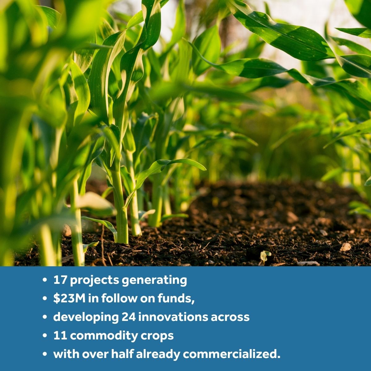 Foundation for Food & Agriculture Research (FFAR) tweet media