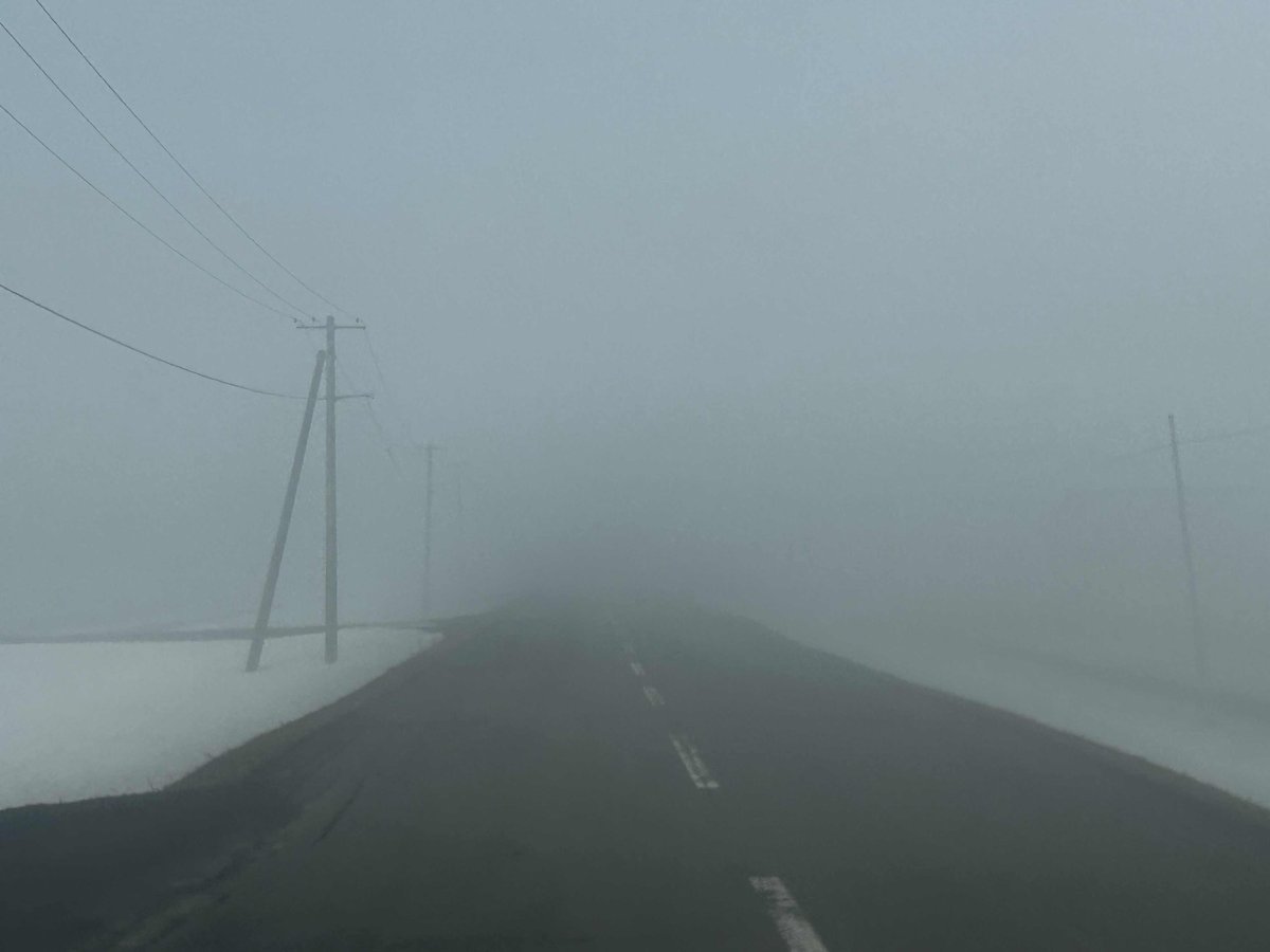 ８２EXPRESS （いそがっし） tweet media